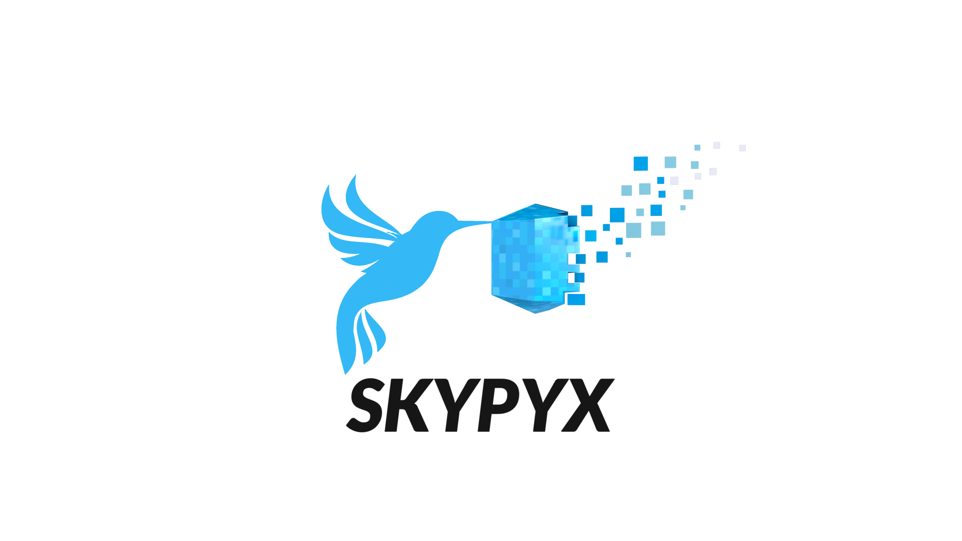SKYPYX LLC